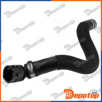 Tuyau de liquide de refroidissement pour FIAT | CPP-FT-012, DWF095TT